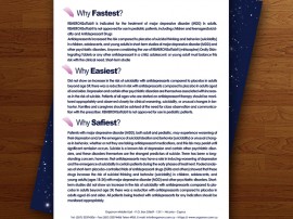 Remeron Flyer